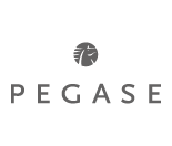 Logo Pegase | Real Travel Reisbureau Menen