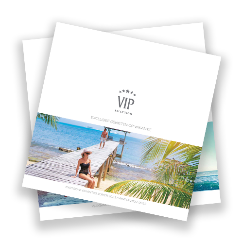 VIP-selelction-brochure-bib-visual-500X500