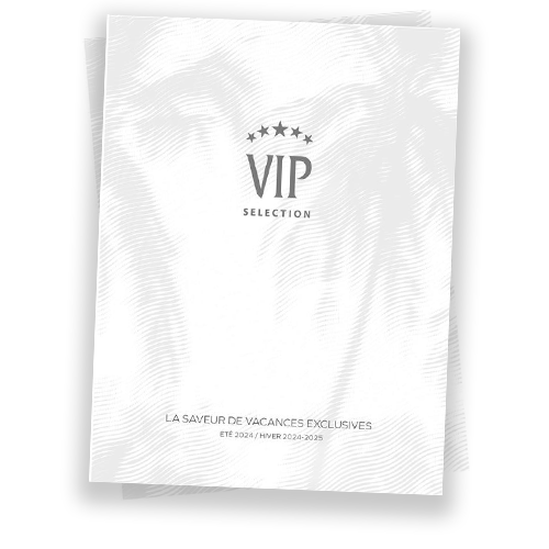 VIP-FR-brochure-bib-visual-500X500