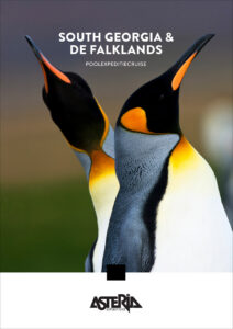 visual-brochures-asteria-bib-december-2025